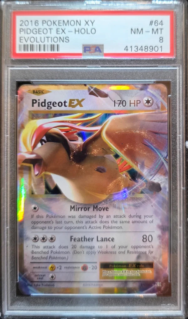 Pokémon Pidgeot EX EVO64 - PSA 8 NM/MINT Grade — Englisch
